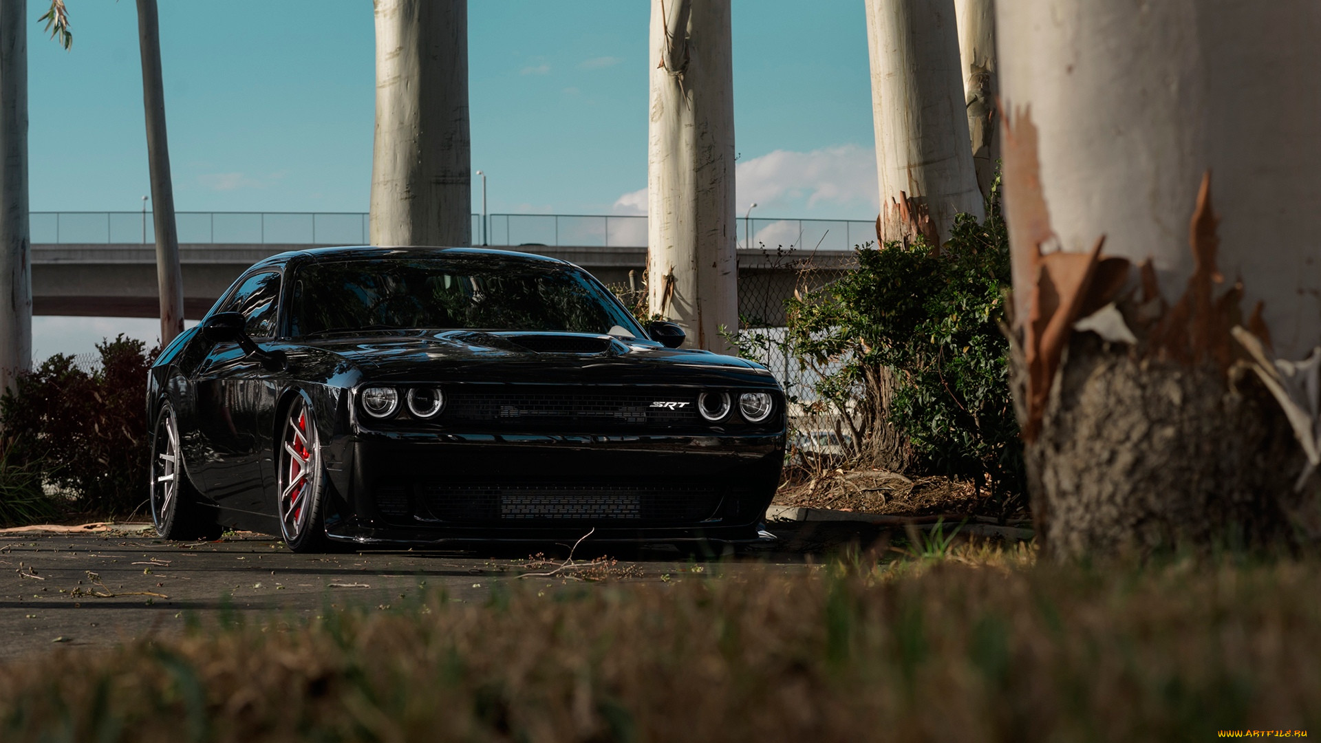 , dodge, challenger